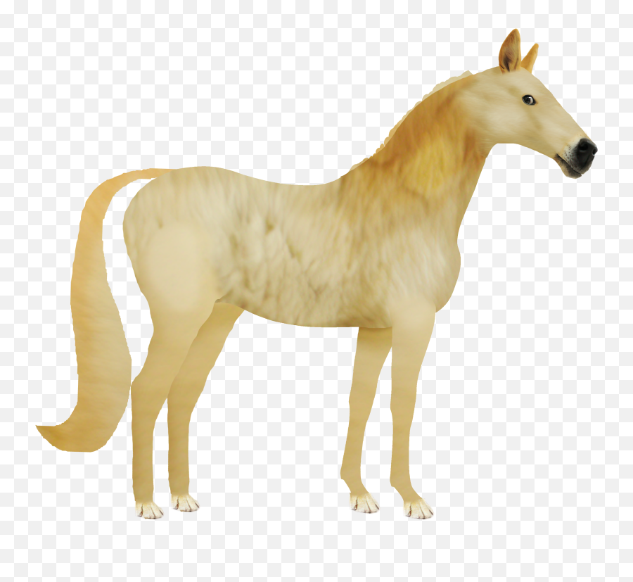 Horse Doge Png Extra In Comments - Doge As A Horse,Doge Png