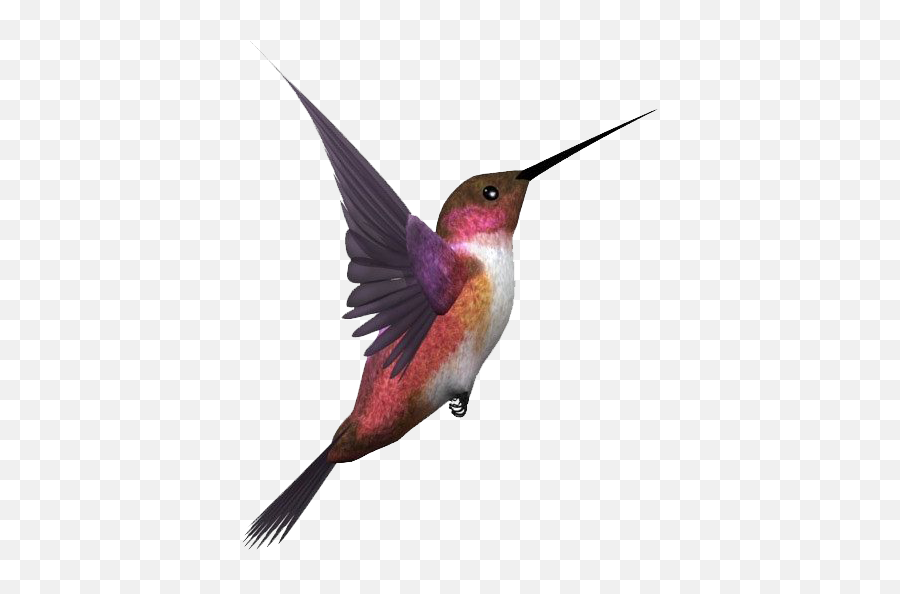 Single Flying Bird - Transparent Flying Bird Png,Birds Transparent