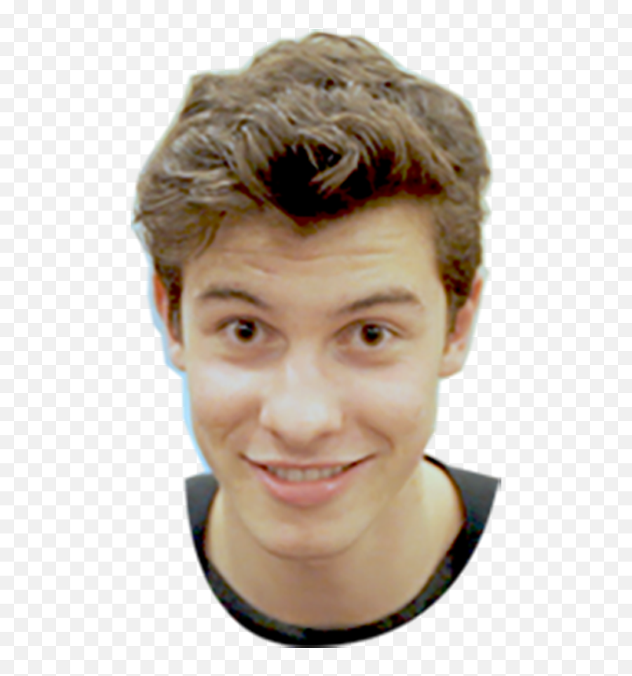 Download Shawn Mendes Face Png - Shawn Mendes Face Png,Shawn Mendes Png