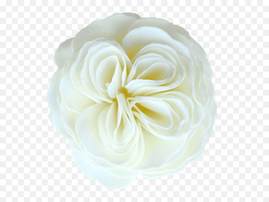 Heirloom Garden Rose Soap Flower - Garden Roses Png,Honeysuckle Png