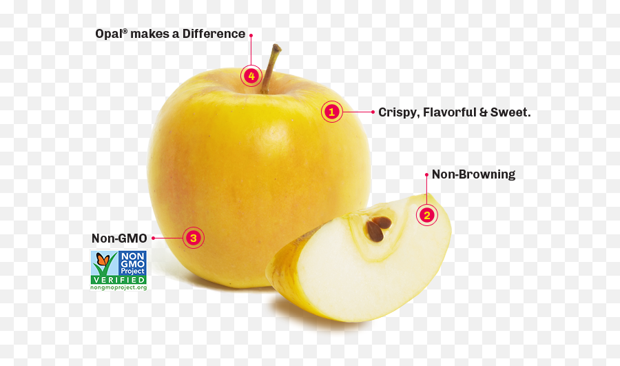 Opal Apple - Opal Apples Png,Golden Apple Logo