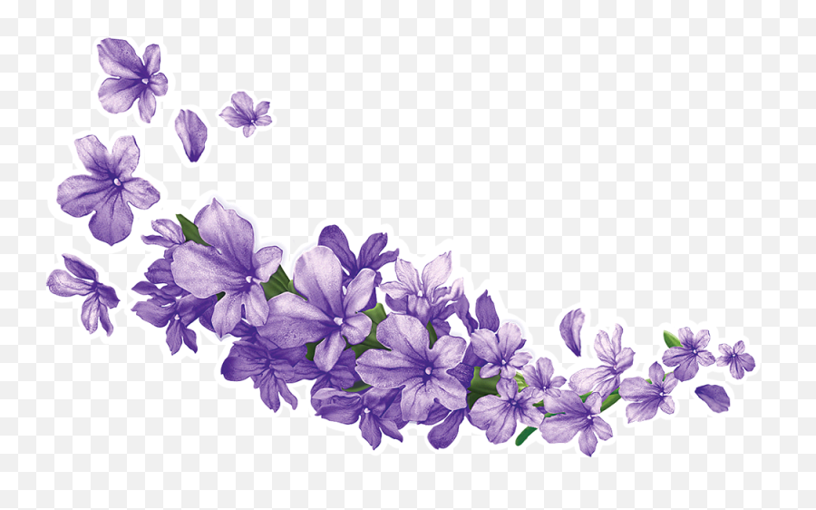 Orchid Clipart Lavender - Transparent Background Lavender Flower Png,Lilac Png