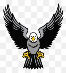 Free Águila Png With Transparent Background - Logo St Louis Eagles Hockey,Aguila Png