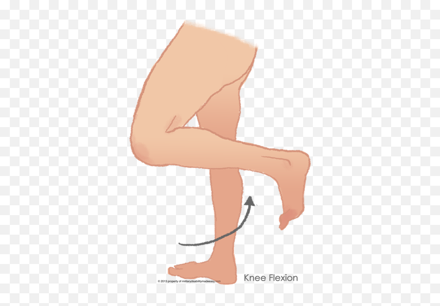 Flex Leg - Flexion At The Knee,Leg Png
