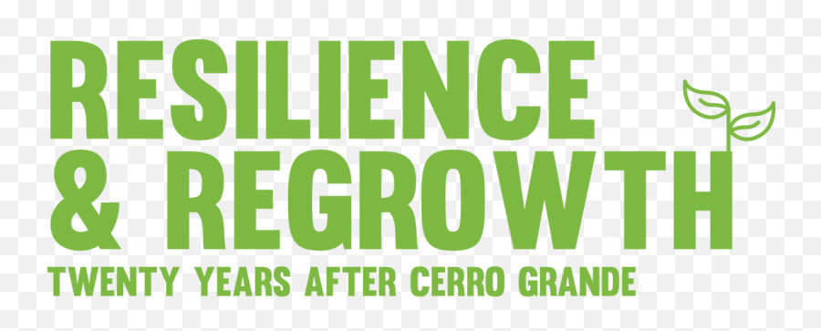 Resilience And Regrowth Twenty Years After Cerro Grande - Linda Sobek Death Png,Vtf To Png