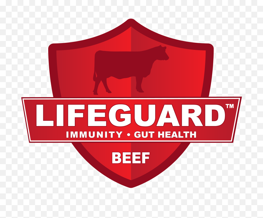 Lifeguard Beef Kalmbach Feeds - Red Sox Vs Yankees Png,Lifeguard Png