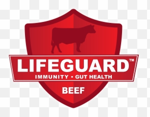 Lifeguard Beef Kalmbach Feeds - Red Sox Vs Yankees Png,Lifeguard Png