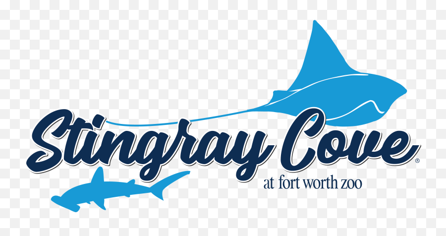 Stingray Cove - Stingray Cove Fort Worth Zoo Png,Stingray Png