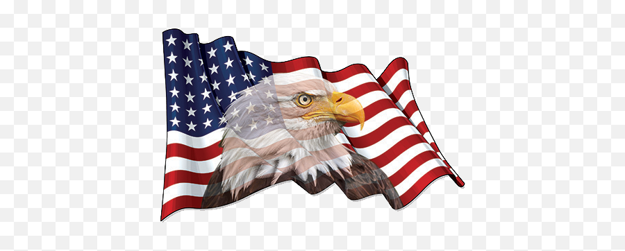 Eagle Usa Flag Sticker Seed Media Png American