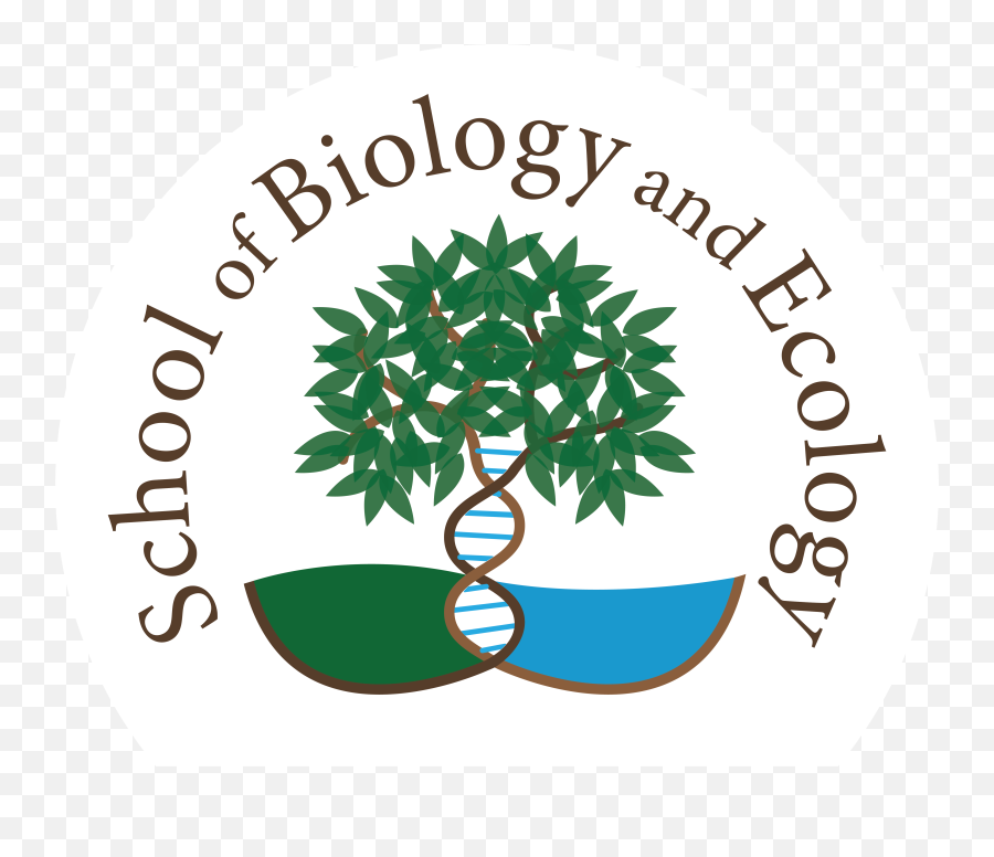 Sbe Logo And Tree Image - Umaine School Of Biology And Ecology Png,Umaine Logo