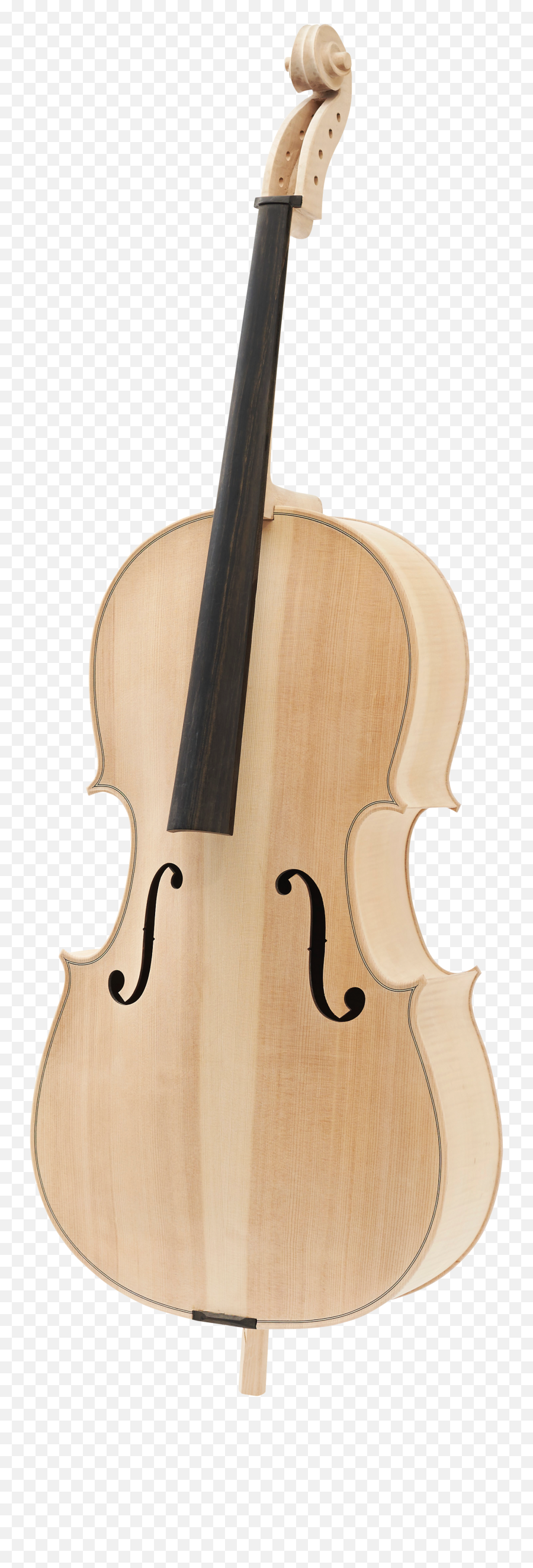 Bildarchiv - Viola Png,Cello Png