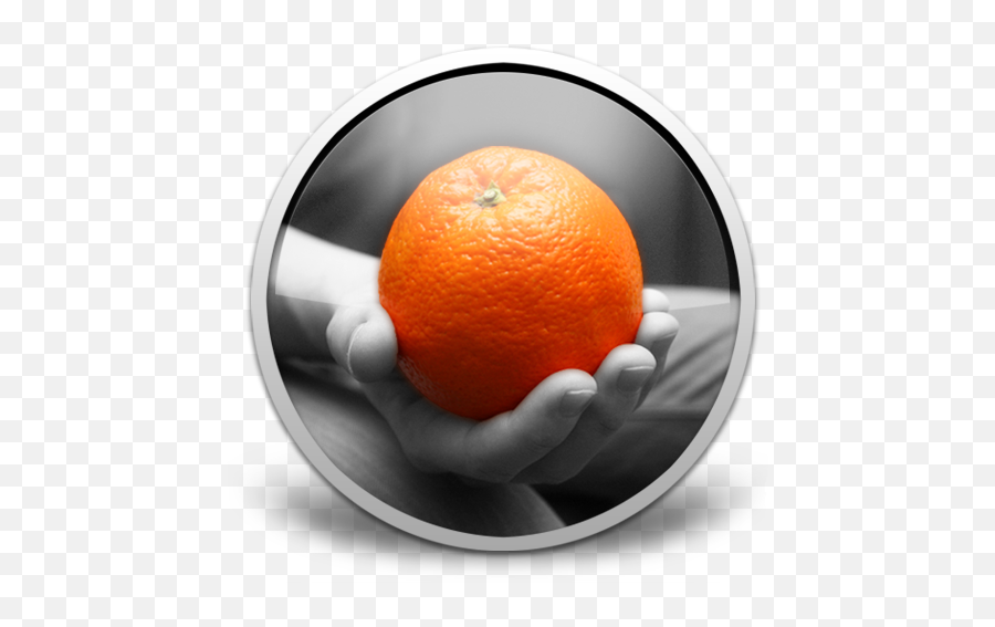Colorize For Mac Free Download Review Latest Version - Valencia Orange Png,Vuescan Icon