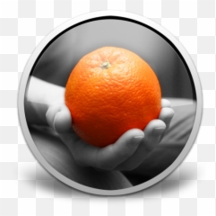 Colorize For Mac Free Download Review Latest Version - Valencia Orange png