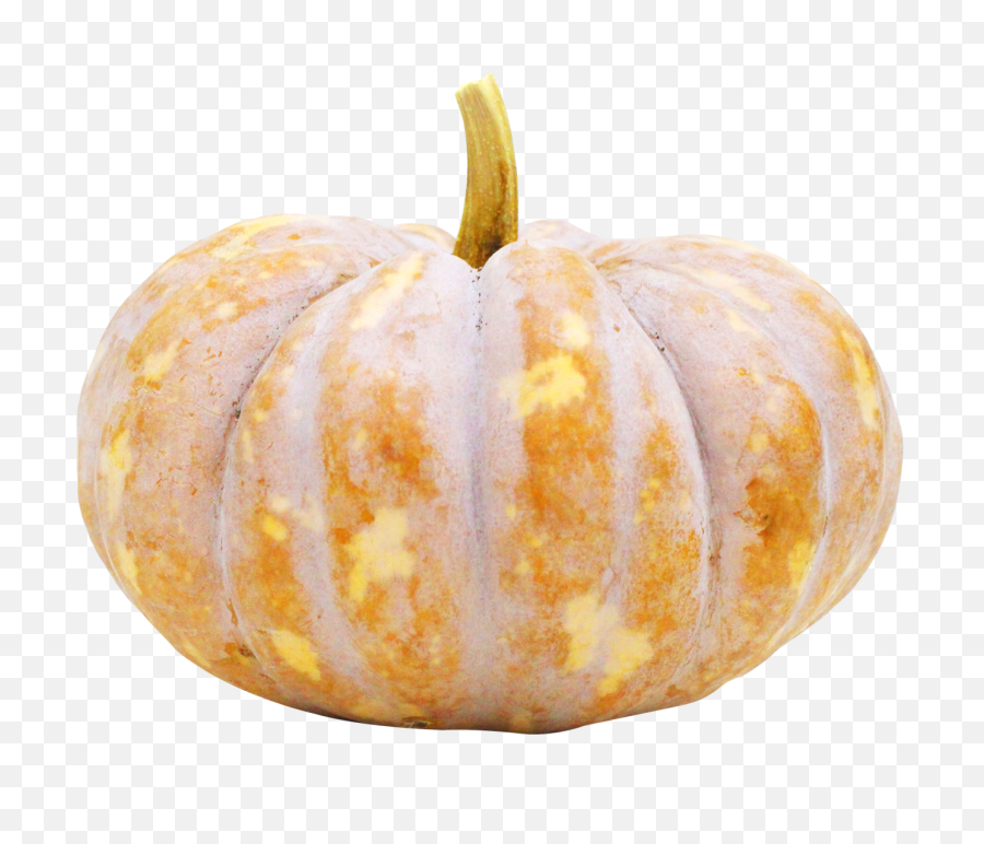 Pumpkin Png Image - Vegetables Cucurbita Pepo Pumpkin,Pumpkin Png Transparent