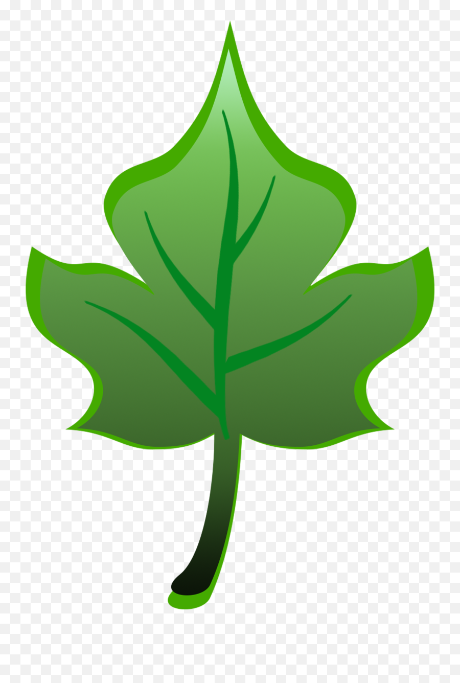 Drawing Green Leaf Of A Tree Free Image Download - Uma Folha De Árvore Png,Greenery Icon