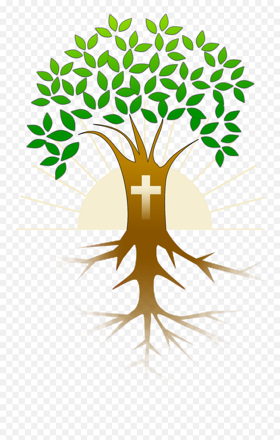 St Nicholas Greek Orthodox Church Of Baltimore - Tree Clipart Free Png,Pascha Icon
