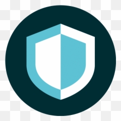 Code Security Live Demo - Young Museum png