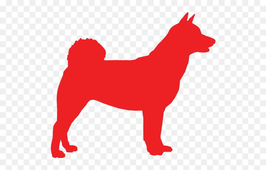 Dog Training Vian Ok Cedar Rock Canine Center - Northern Breed Group Png,Dog Boarding Icon