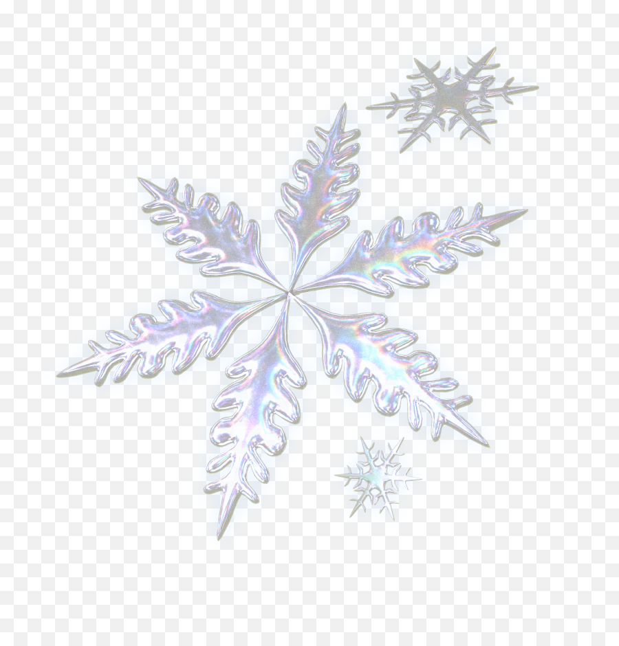 Download Three Decorative Snowflakes - Real Snowflake Real Snowflake No Background Png,Snowflakes With Transparent Background