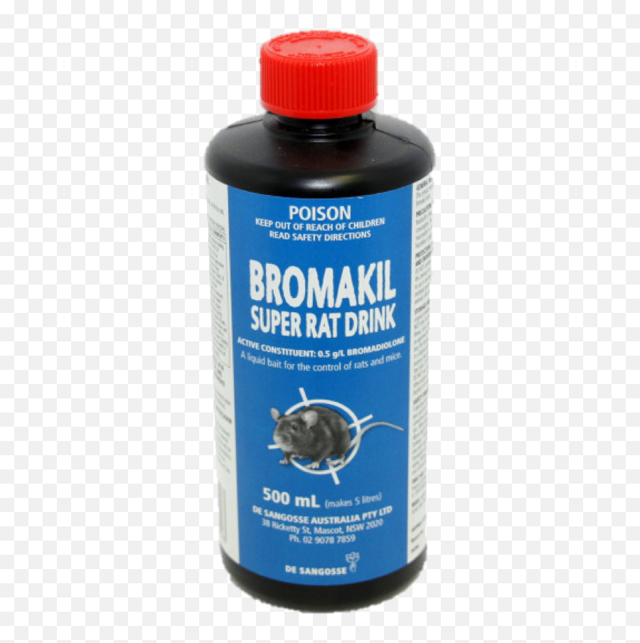 Bromakil - Super Rat Drink Rat Png,Rats Png