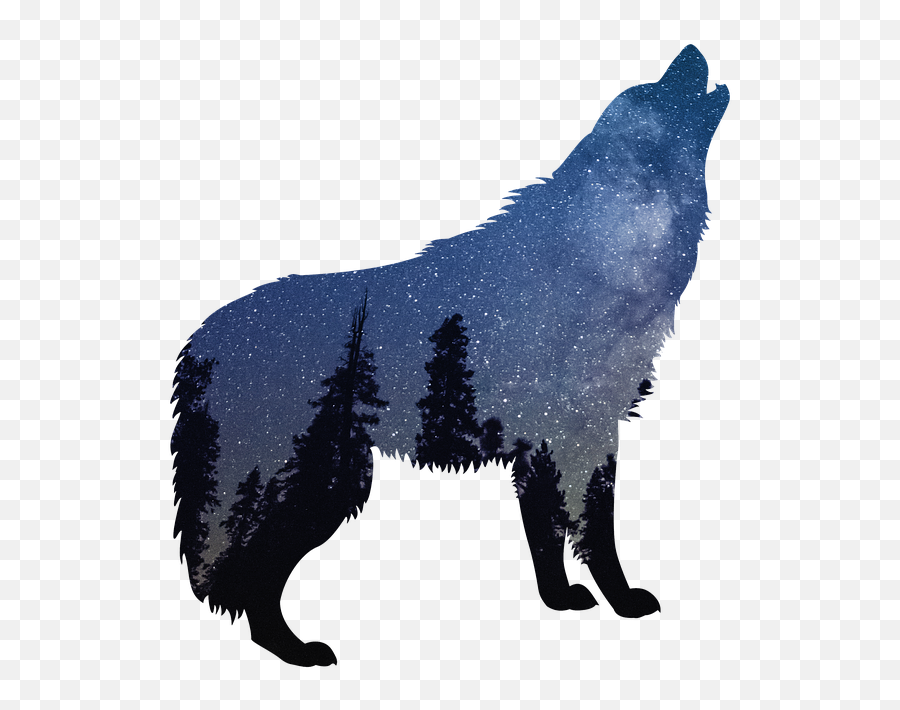 Wolves Wolf Nature - Howling Wolf Silhouette Png,Wolves Png
