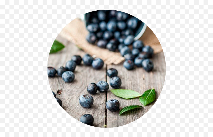 Berryco - Bilberry Png,Berries Png
