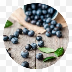 Berryco - Bilberry Png,Berries Png