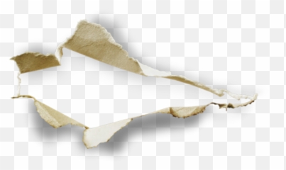 Paper Hole Tearing Burst Punch Rip Ripping Cracks - Hole Paper Tear Png