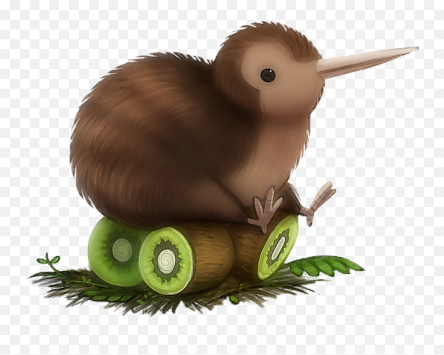 Kiwi Bird Sitting - Kiwi Bird,Kiwi Bird Png