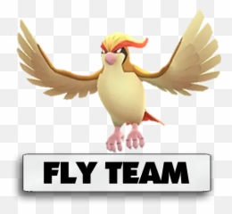 Go Indaiatuba 2 - Pidgey Pokemon png