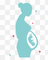 Infant Clipart Baby Fetus Transparent - Gravida Png