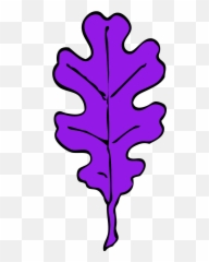 Oak Leaf - Vector Clip Art Clipartsco png
