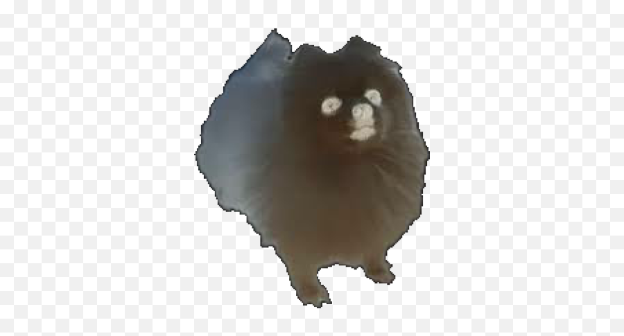 Five Nights - Pomeranian Png,Gabe The Dog Png