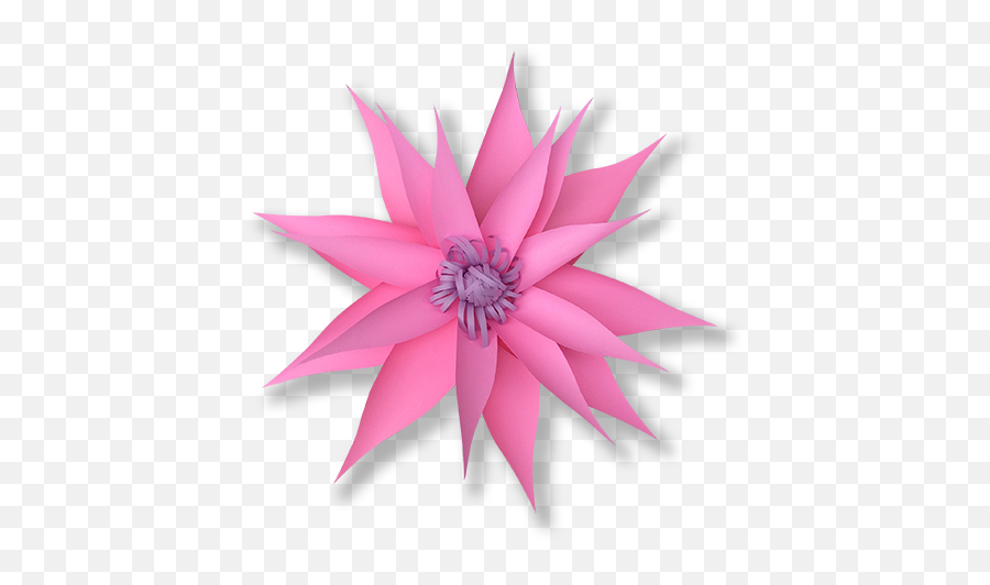Paper Flowers Philippines - Bromelia Png,Paper Flower Png