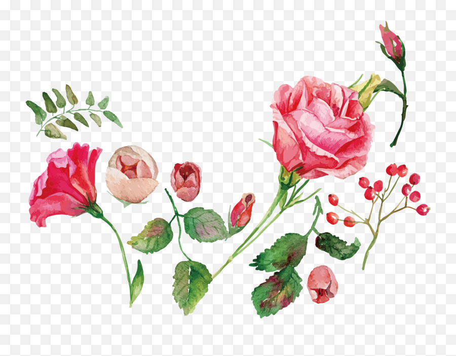 Watercolor Painting Flower Rose Royalty - Rose Watercolor Flowers Vector Png,Flower Vector Png