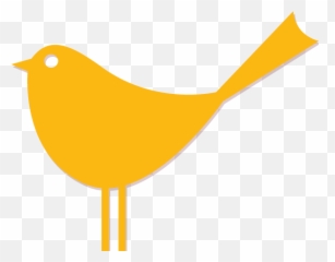 Tam - Bigbird Gdd Interactivegdd Interactive Old World Flycatchers Png,Big Bird Png