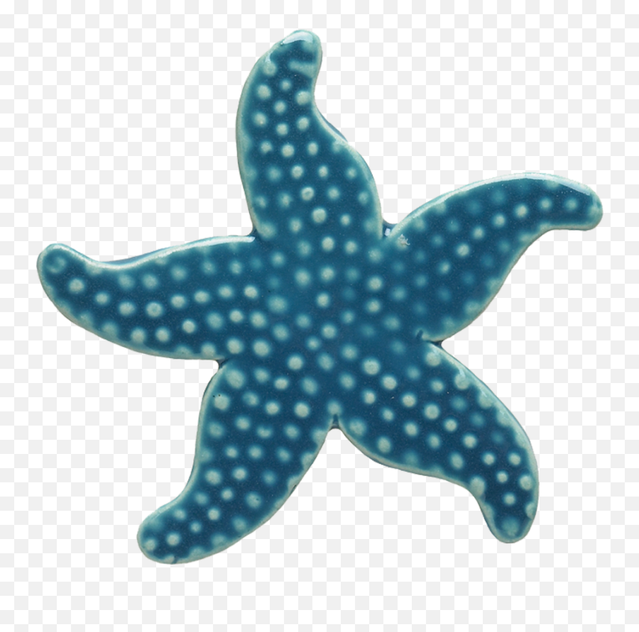 Light Blue Starfish Mosaic U2014 Custom Mosaics - Blue Star Fish Cartoon Png,Starfish Png