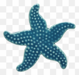 Light Blue Starfish Mosaic U2014 Custom Mosaics - Blue Star Fish Cartoon Png,Starfish Png