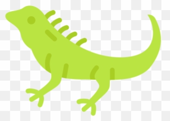 Iguana - Free animals icons Animal Figure png