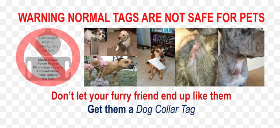 Dog Collar Tag Custom Silent Slide - Dog Supply Png,Dog Tag Png