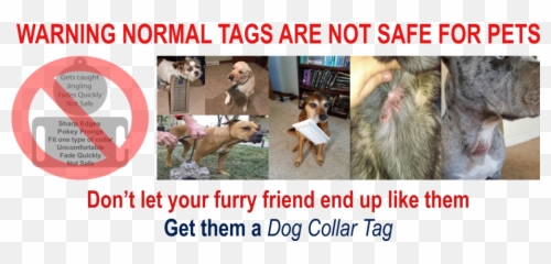 Dog Collar Tag Custom Silent Slide - Dog Supply Png,Dog Tag Png