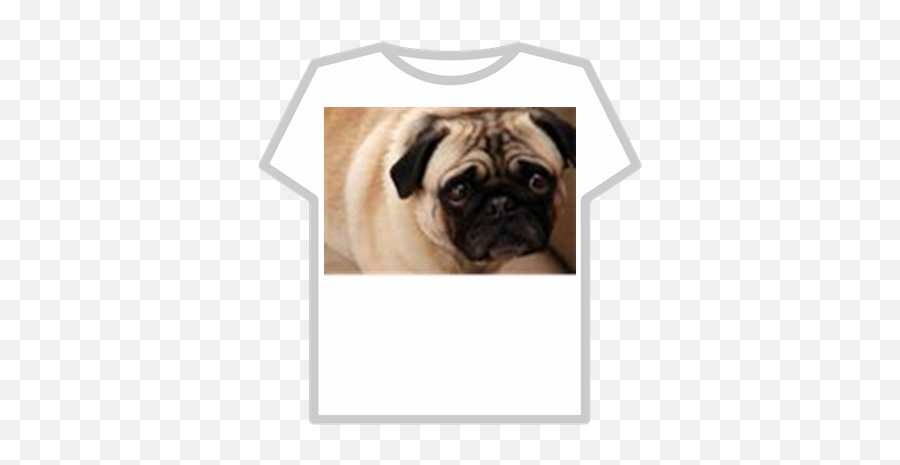 Sad Dog - Roblox T Shirt Roblox Kawaii Png,Sad Dog Png