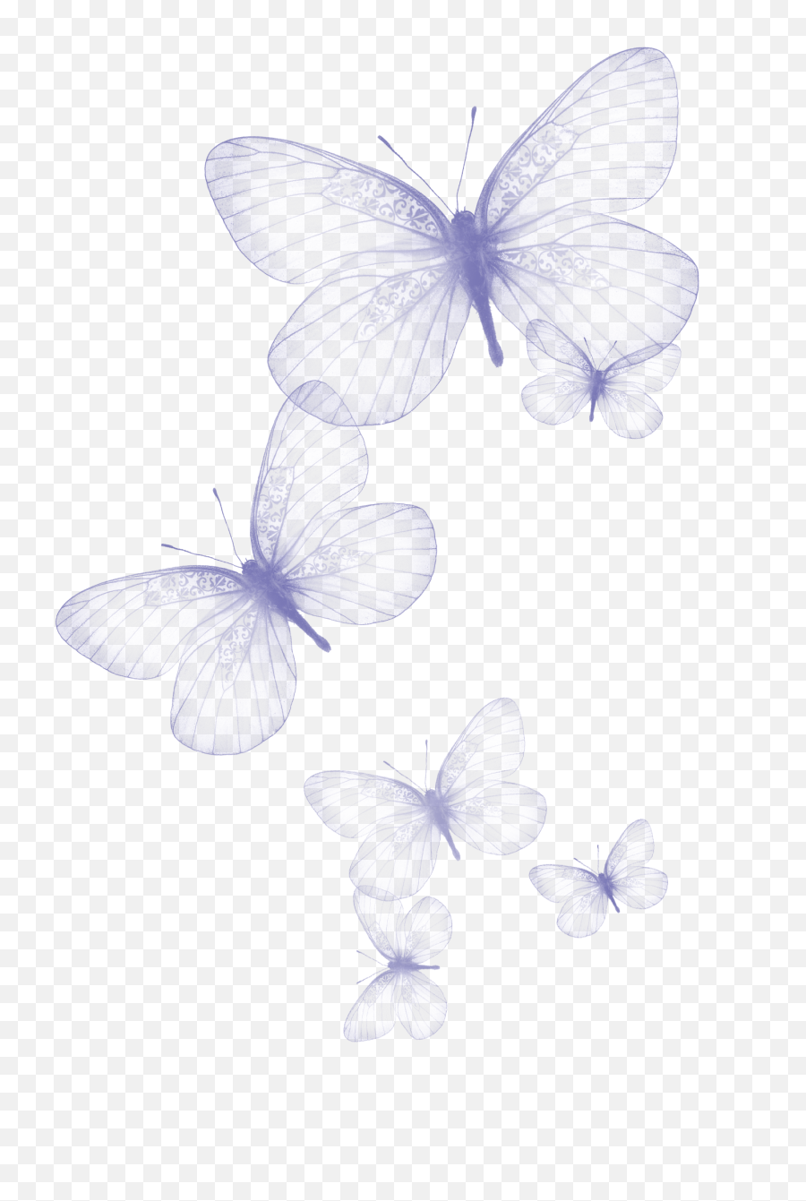 Free Free 157 Butterfly Swarm Svg SVG PNG EPS DXF File