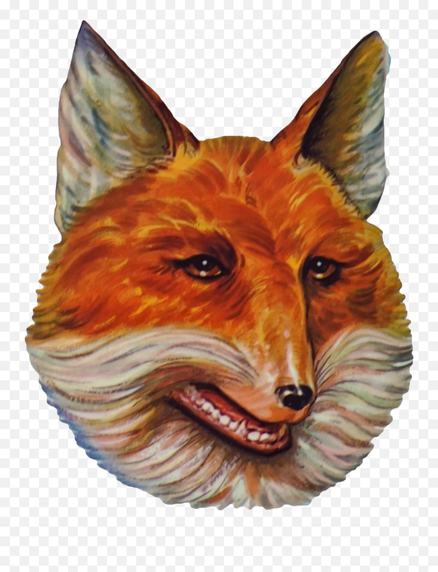 Fox Head Png - Fox Head Transparent,Fox Head Png