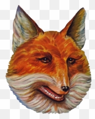 Fox Head Png - Fox Head Transparent,Fox Head Png