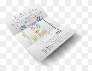 Florence Binoya - Horizontal png