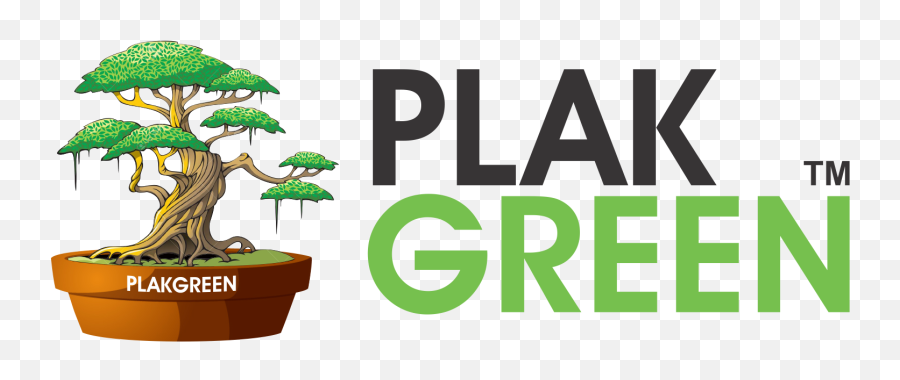 Mame Jade Plant Csp0005 U2013 Plakgreen - Cartoon Magic Tree Png,Mame Icon Png