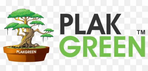 Mame Jade Plant Csp0005 U2013 Plakgreen - Cartoon Magic Tree png