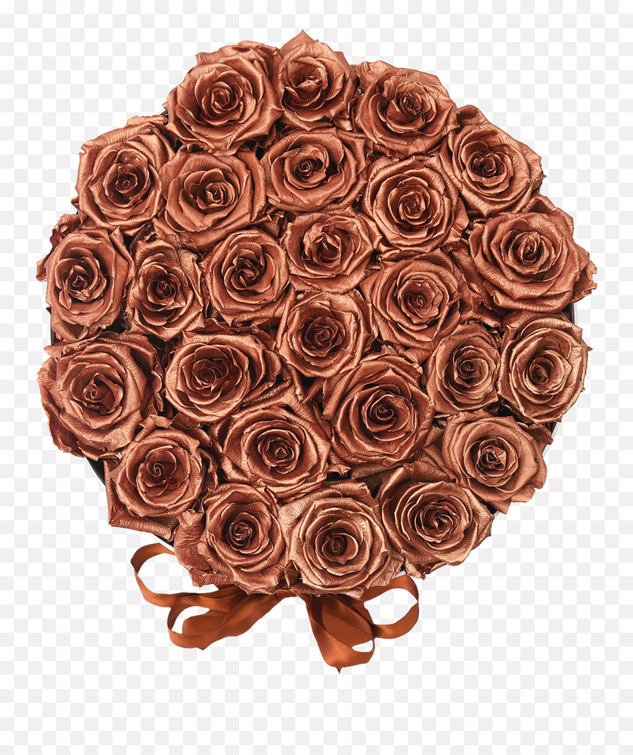 Rose Gold - Garden Roses Png,Real Rose Png