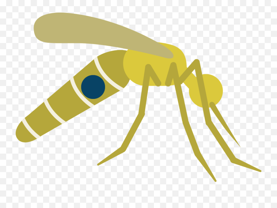 Mosquito Clipart Prevention Disease - Portable Network Graphics Png,Mosquito Transparent